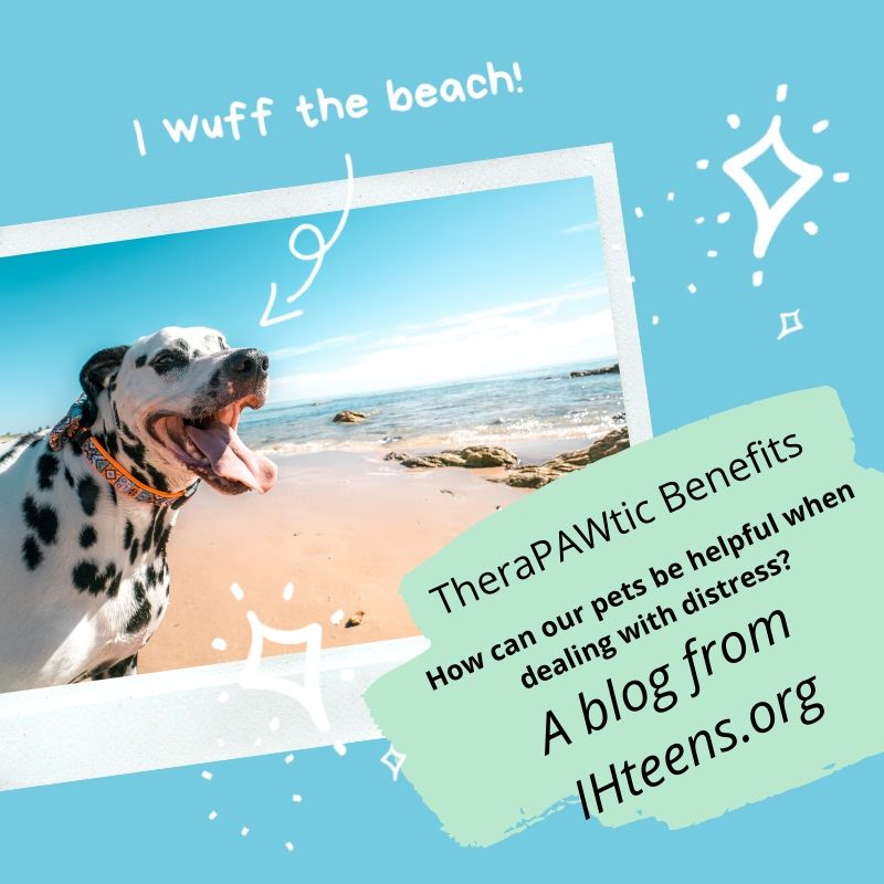 TheraPAWtic Benefits: How can our pets be helpful to us when dealing with distress?