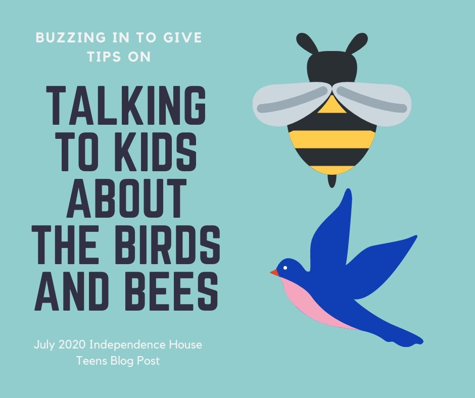Tips For Talking to Kids About The Birds And The Bees